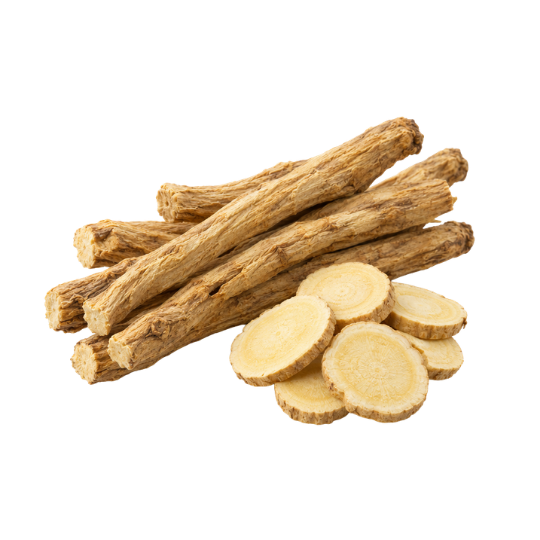 Astragalus root