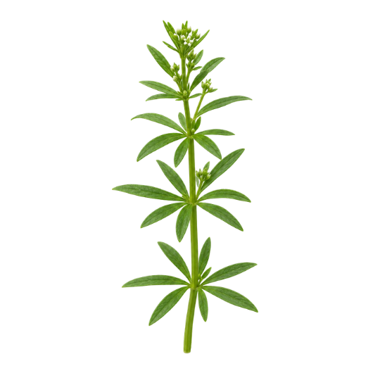 Cleavers