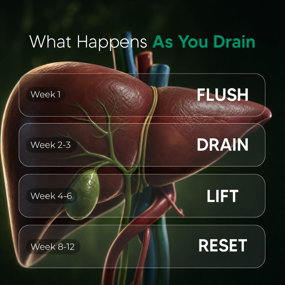 Native Bloom® Lymphatic Drainage | Slimmer Gut & Liver Support — view 7